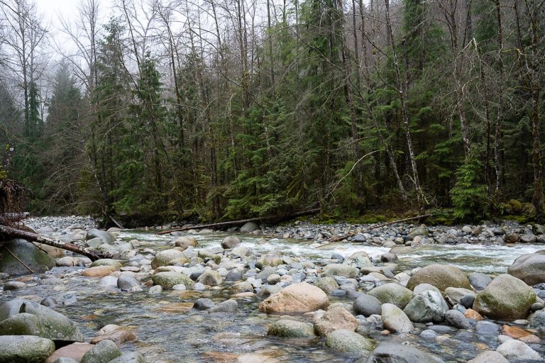 Best Rainy Day Hikes Near Vancouver